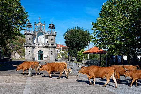 what to see near Porto what to see near Porto